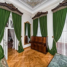 Palatul Alexandru Ioan Cuza, Ruginoasa