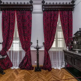 Palatul Alexandru Ioan Cuza, Ruginoasa