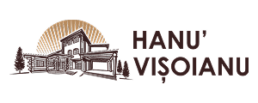 hanu Visoianu