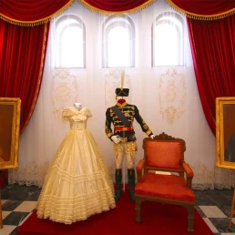 Muzeul de Istorie Paul Păltănea, Galați